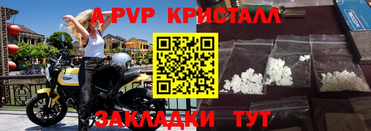Новороссийск  А ПВП СК КРИС  A-PVP крисы CK  APVP  Вход с VPN 