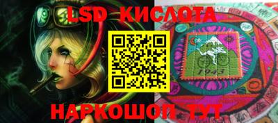 прущие грибы Усть-Илимск