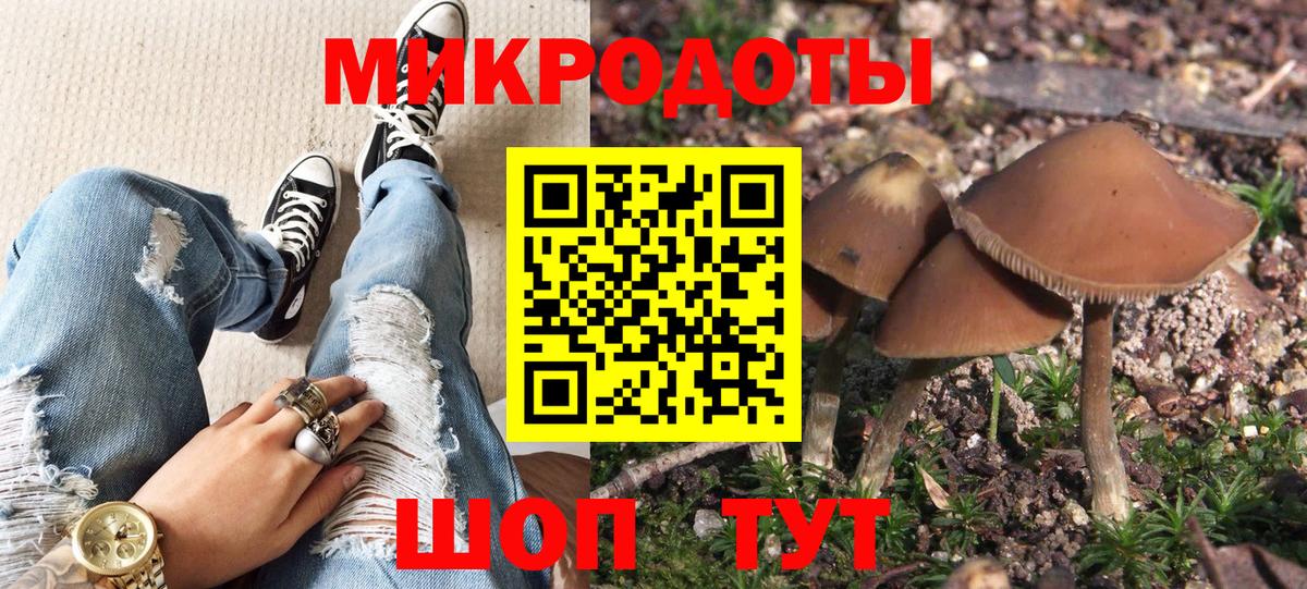 Псилоцибиновые грибы MAGIC MUSHROOMS Новороссийск