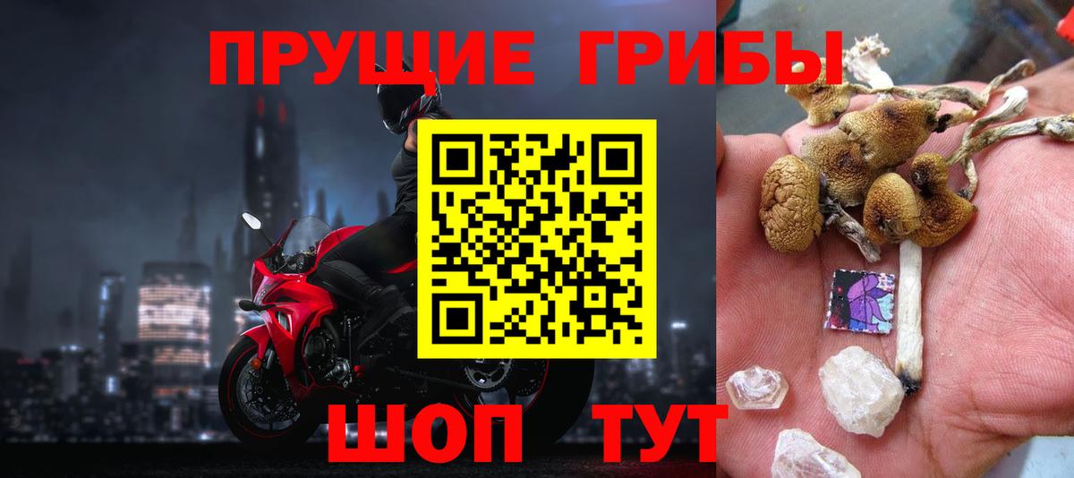 Псилоцибиновые грибы Magic Shrooms  Вход с VPN  Новороссийск  Псилоцибиновые грибы Psilocybe 